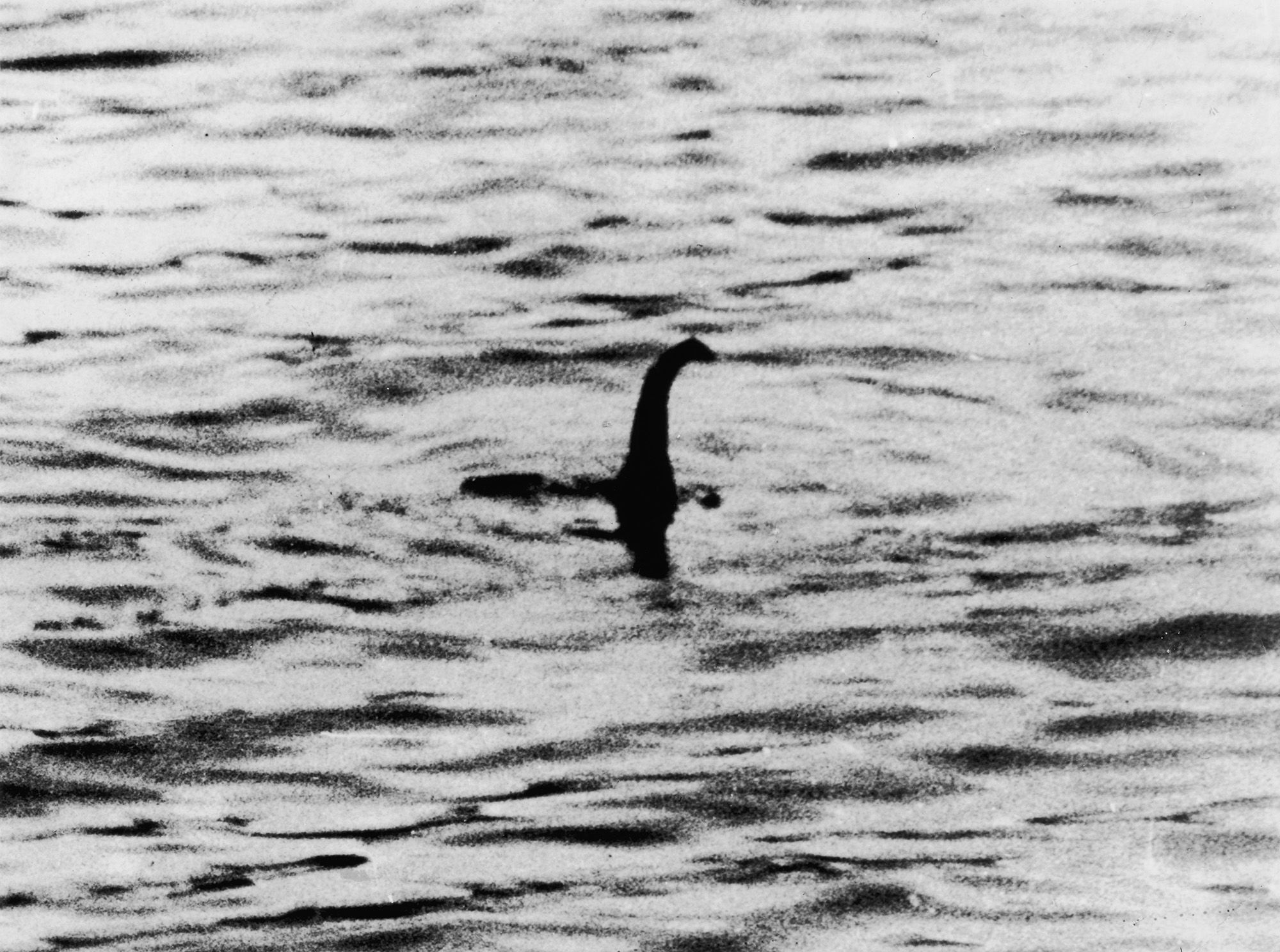 Loch Ness Monster...