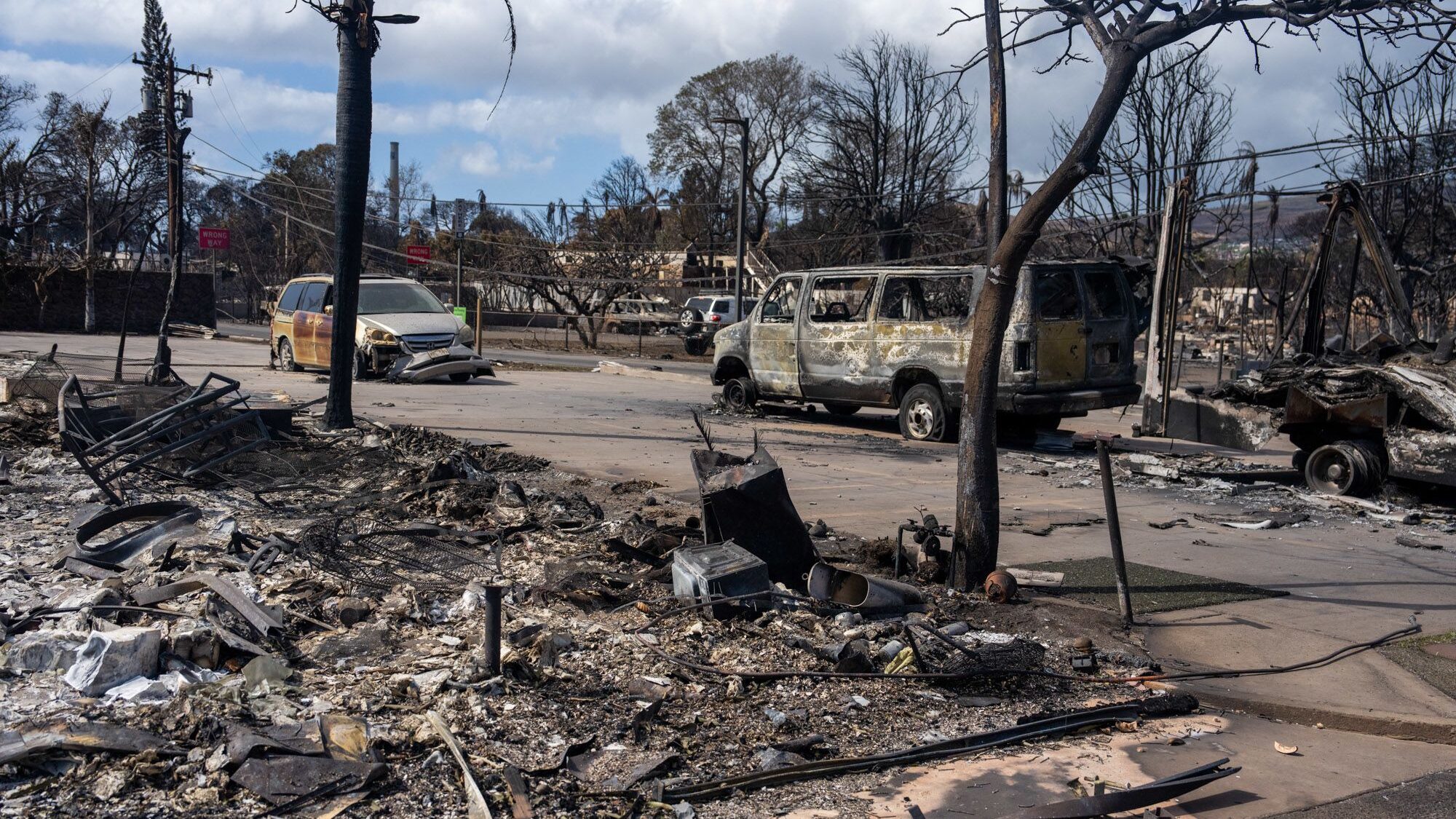 Wildfires in Maui have killed at least 55 people, displaced thousands and demolished many homes Bur...