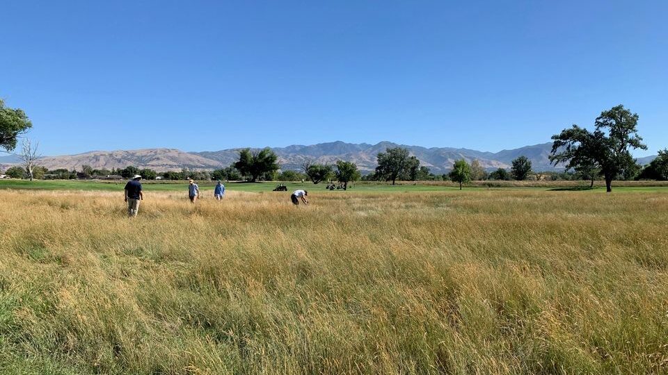Image of one of the golf courses in Salt Lake City, Utah, that has switched to more drought-resista...