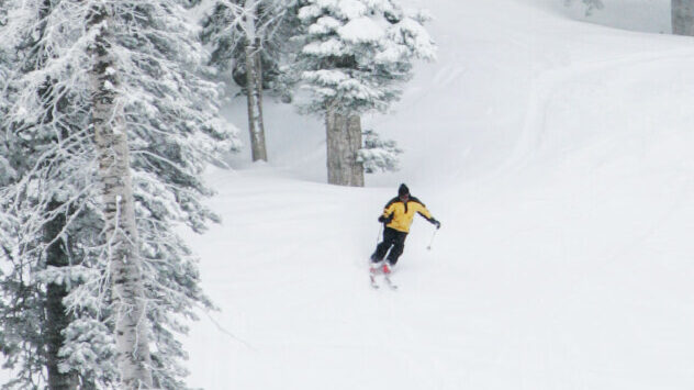 FILE - A skier turns through the trees at Powder Mountain. (Jeffrey D. Allred/Deseret News)...
