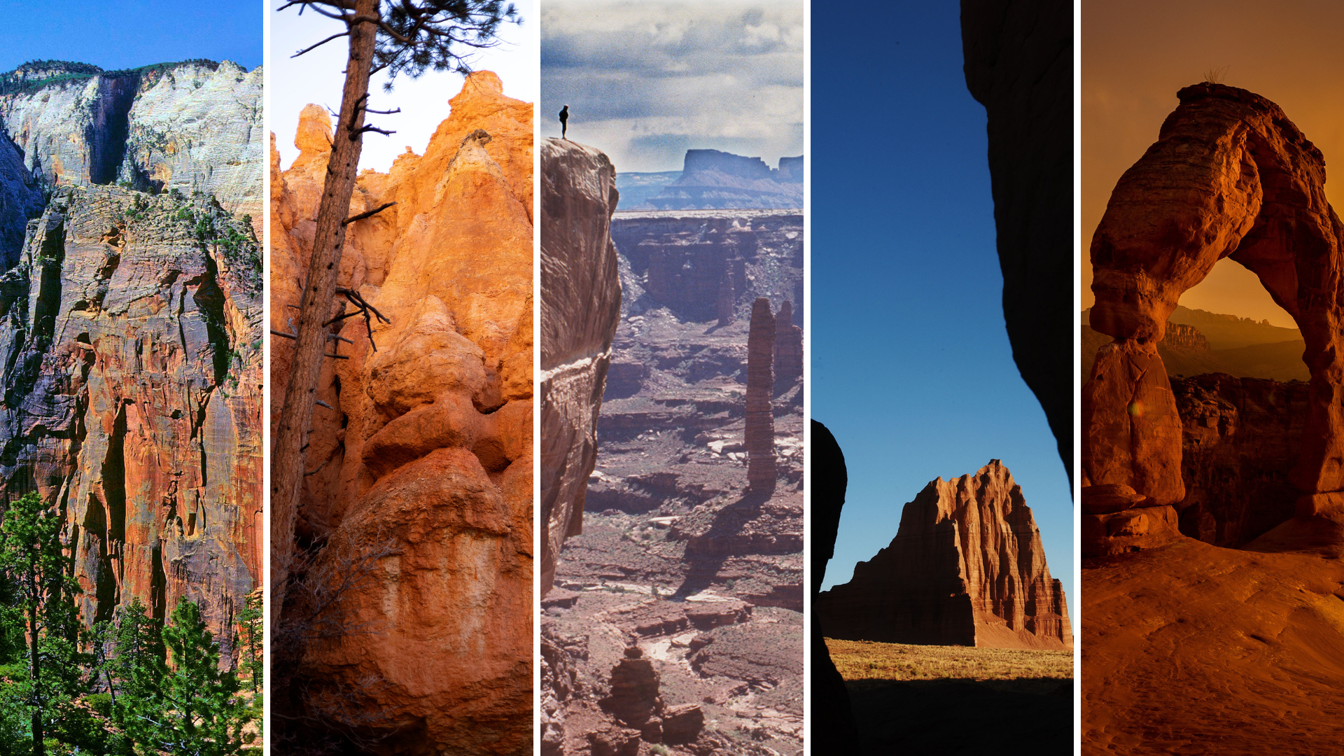 Side by side images of Zion, Bryce, Canyonlands Capitol Reef, and Arches National Parks in Utah, wh...