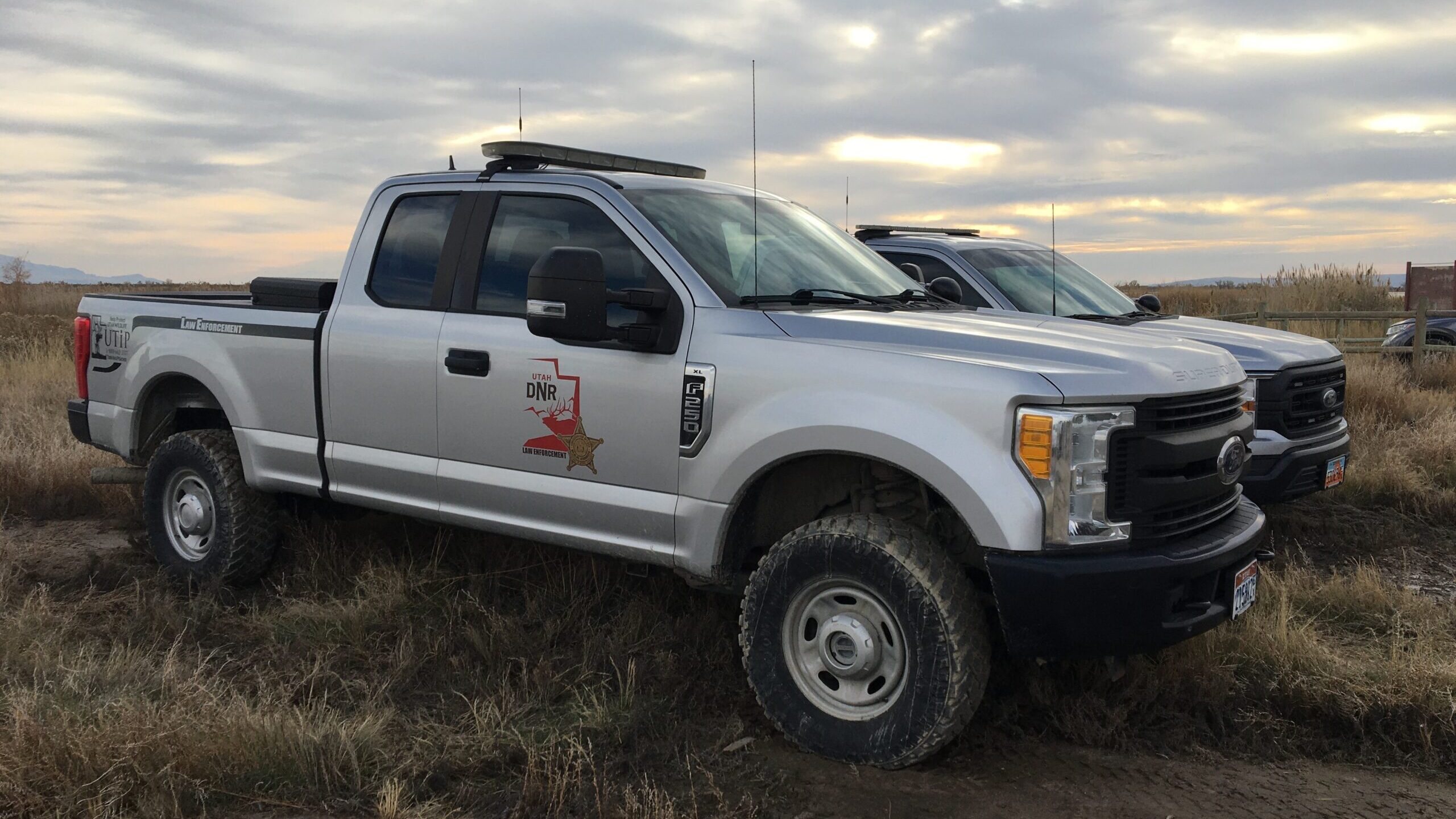 Image of a truck belonging to the Utah Division of Wildlife Resources, which reports that 173 wild ...
