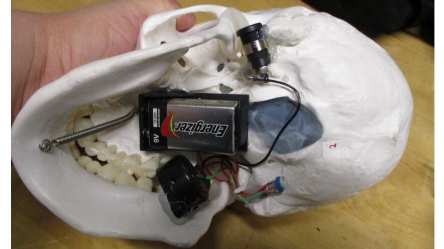 This item, a fake skull, putty, nine-volt battery and a sensor, caused baggage screening operations...