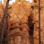 Bryce Canyon National Park is pictured on Thursday, May 18, 2023.  (Laura Seitz, Deseret News)