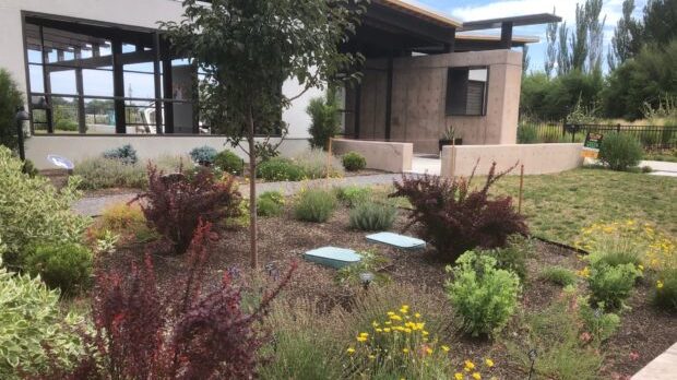 FILE - Localscaping is the use of native plants and grasses to landscape. (KSL NewsRadio)...