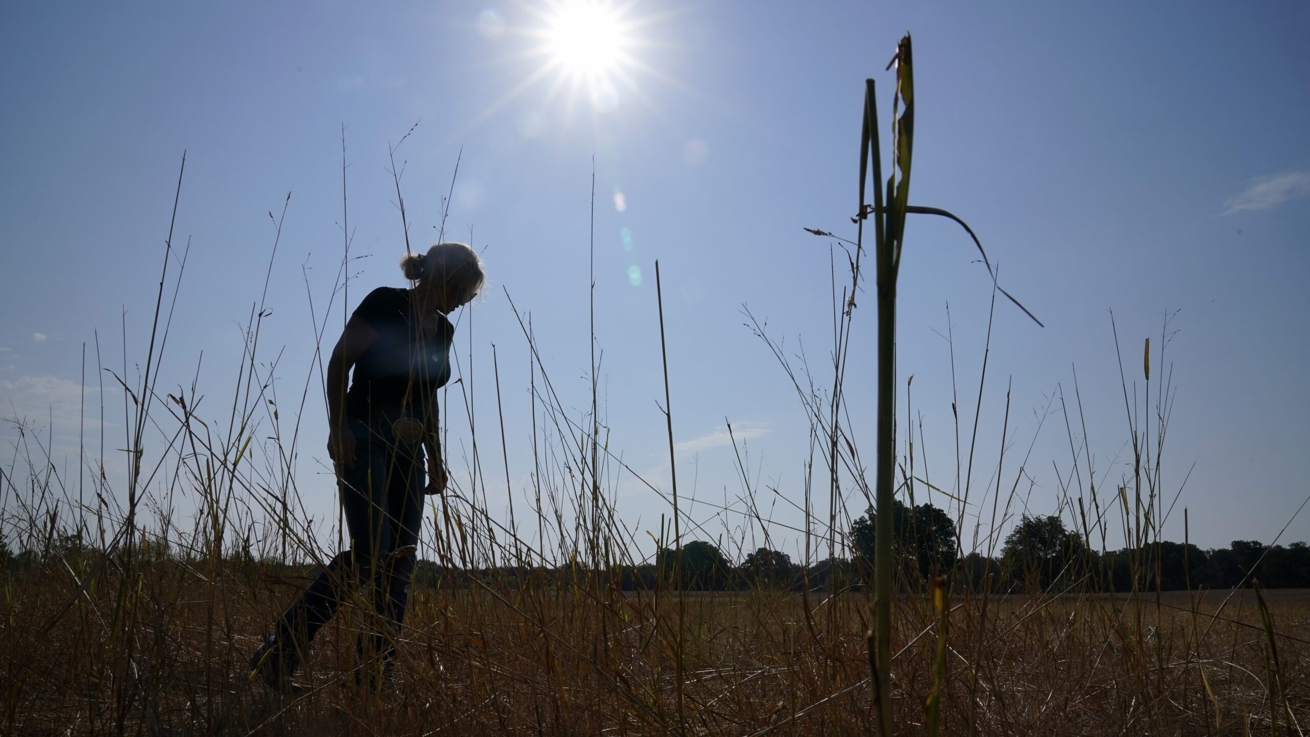 Gilda Jackson walks on a pasture on her property that she grows hay on in Paradise, Texas, Aug. 21,...