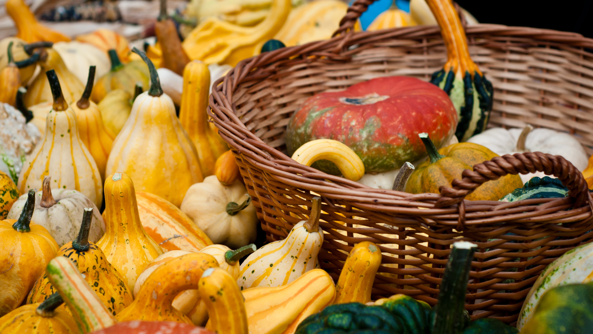 squash and other fall foods are pictured in a basket...