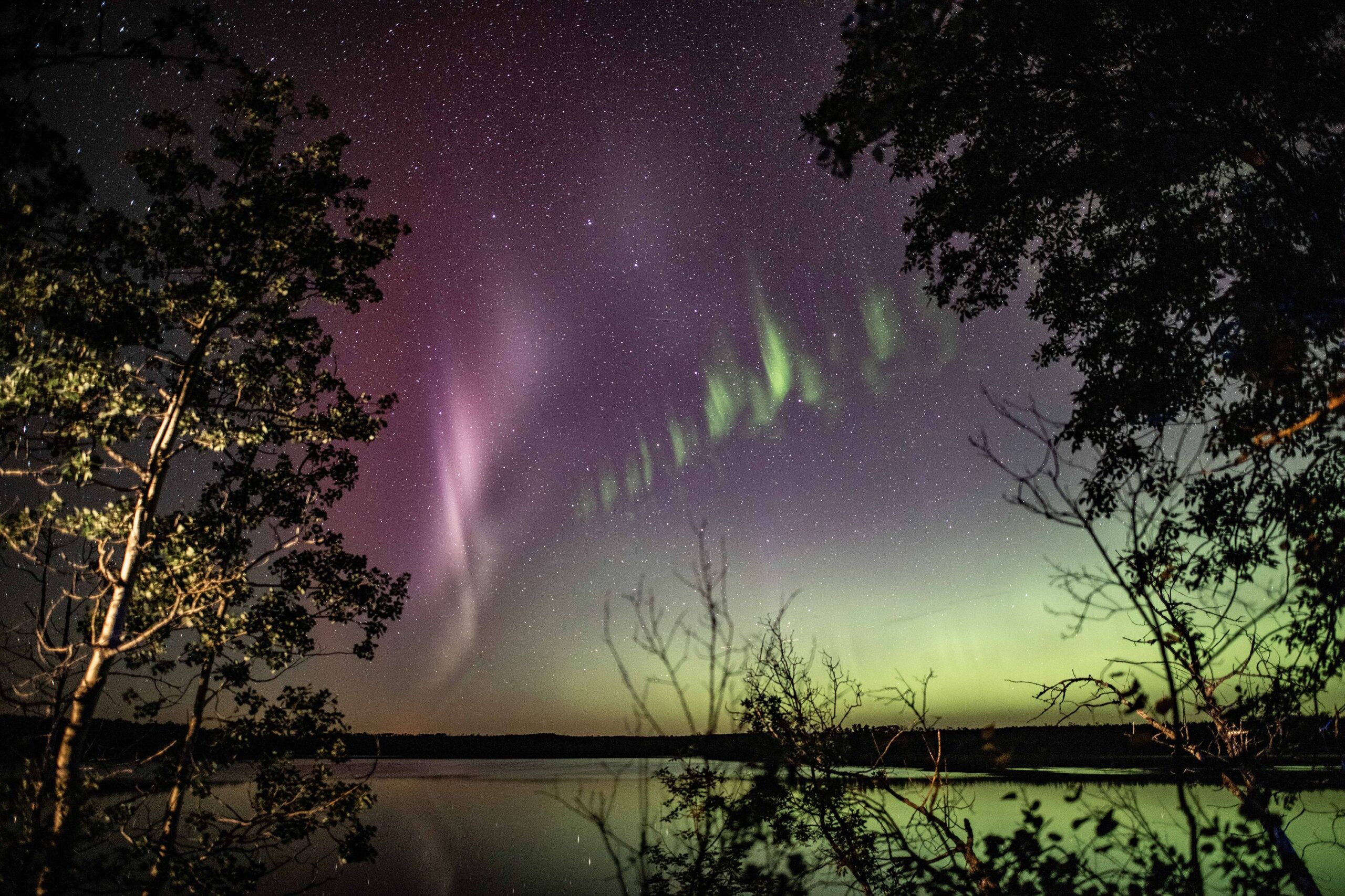 An image of the Steve phenomenon captured by Canadian photographer Neil Zeller.
(Credit: Courtesy N...