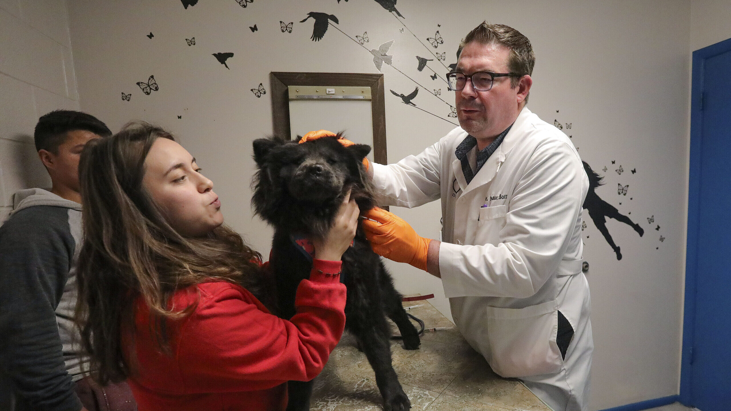 a veterinarian and girl hold a dog, suicide rates in veterinarians are a concern...