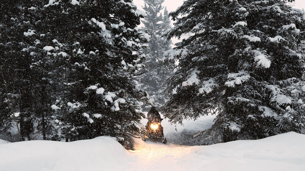 A snowmobiler rides between two trees as snow falls near the Spruces Campground in Big Cottonwood C...