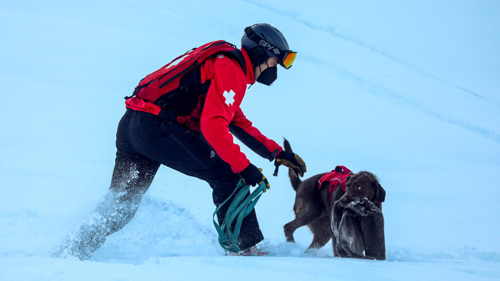 Solitude avalanche rescue dog Joni and their ski patrol handlers practice seeking out volunteers bu...