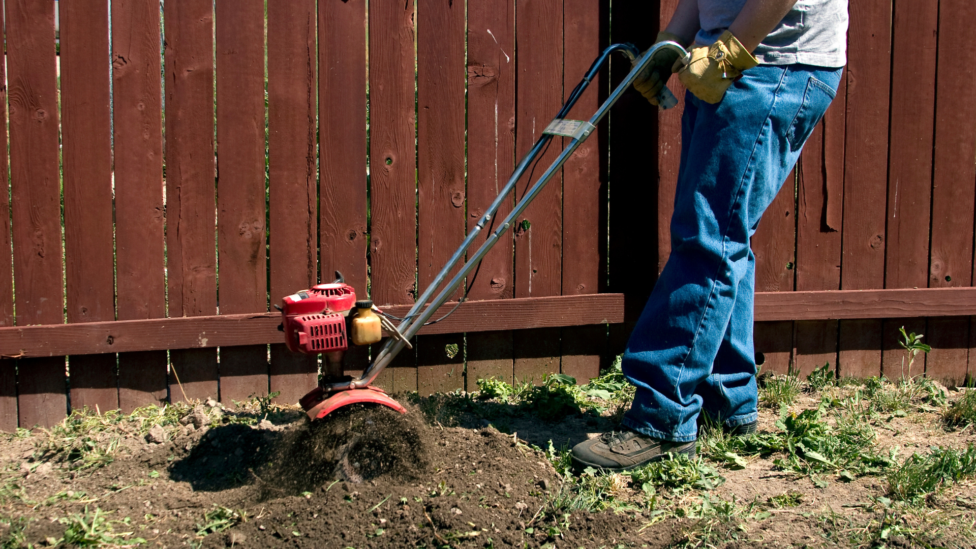 Tilling can break up the soil structure. The no-till method can provide your plants with necessary ...