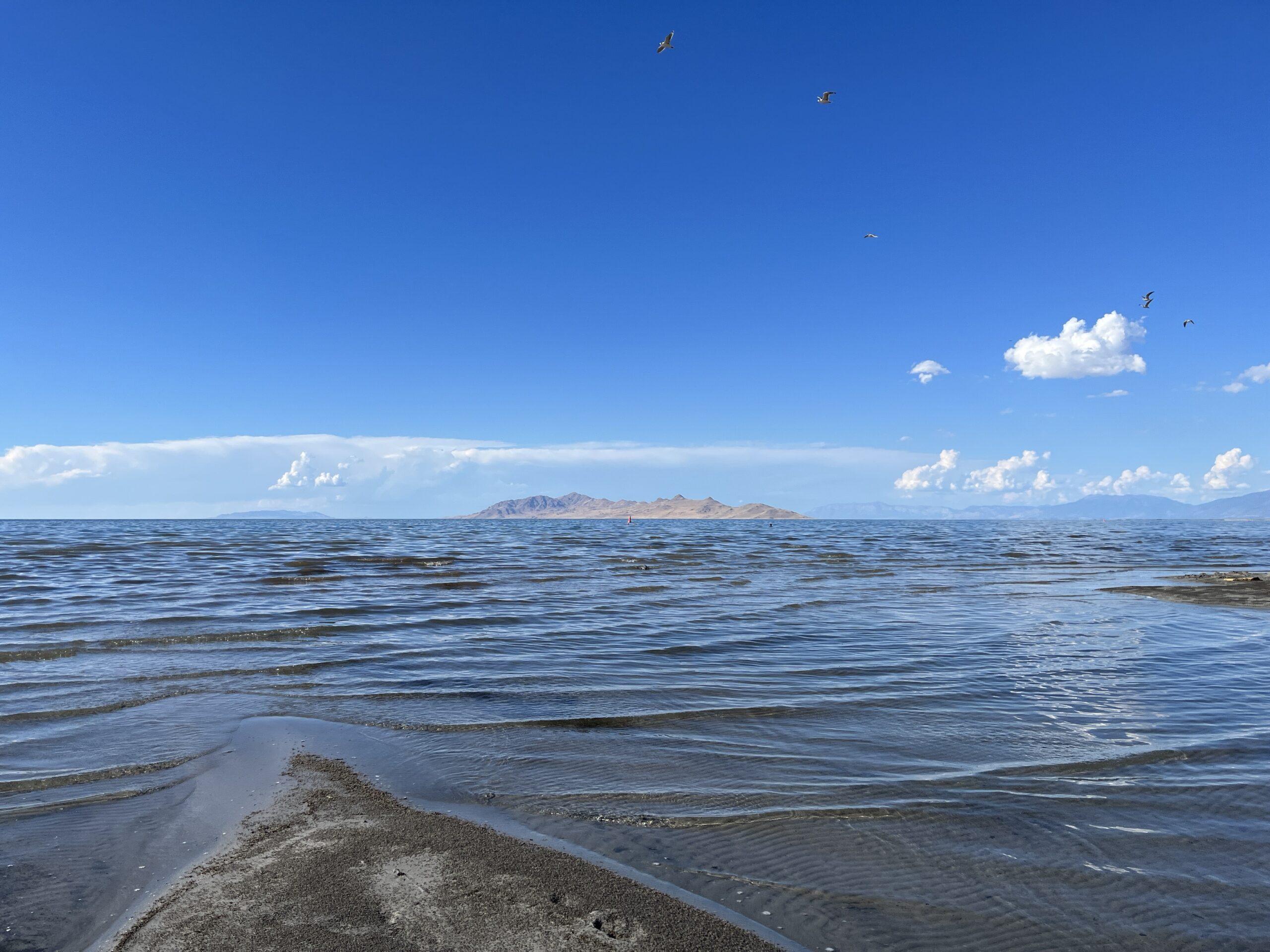 FILE: Great Salt Lake as seen from the marina in August 2023.  (Adam Small, KSL NewsRadio)...
