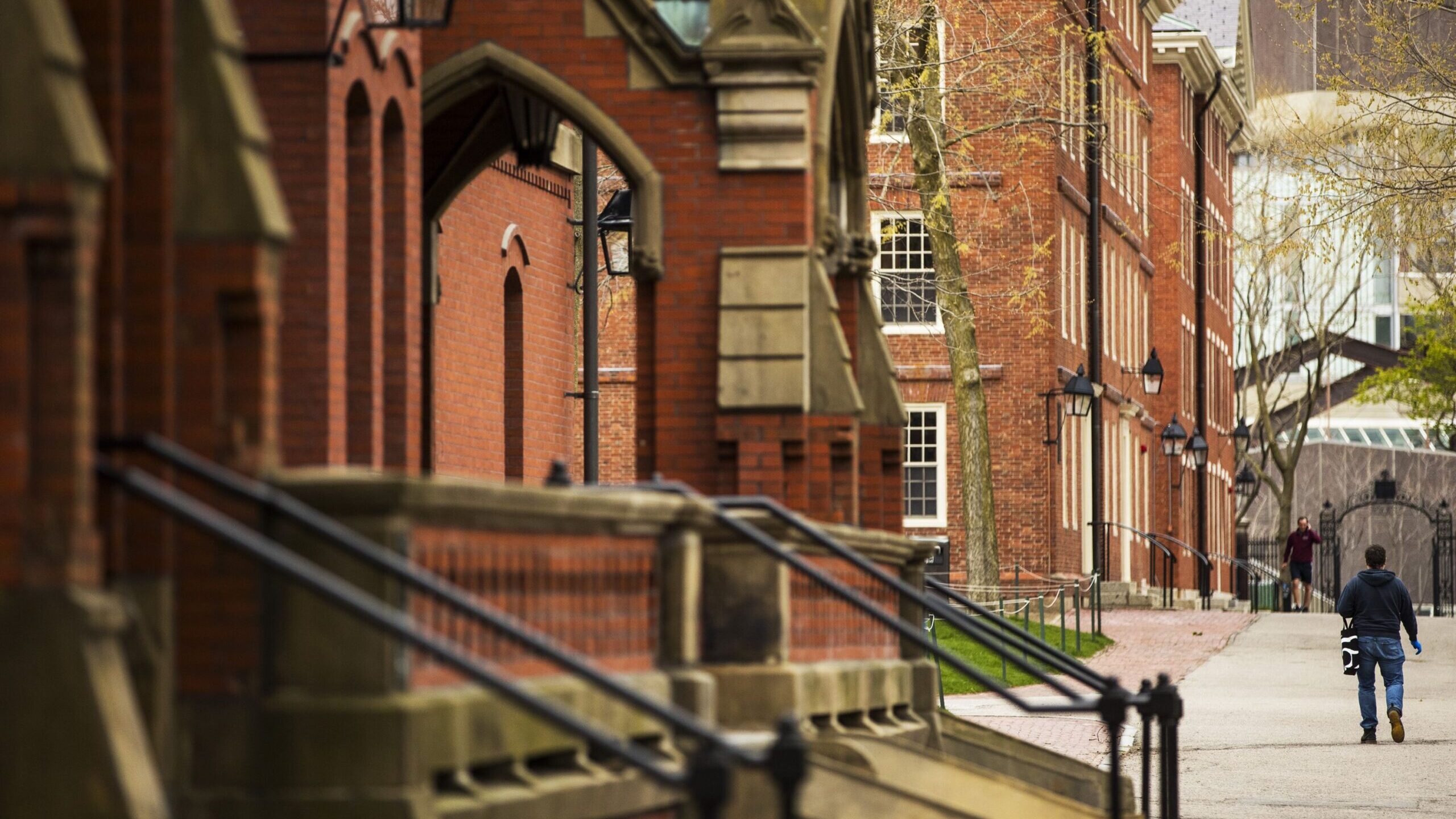 A pedestrian walks through Harvard Yard on the Harvard University campus. (Adam Glanzman/Bloomberg/...