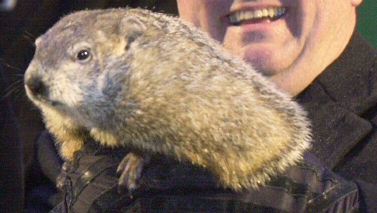 The weather predicting groundhog, Punxsutawney Phil, is raised by handler Bill Feeley, right, Sunda...