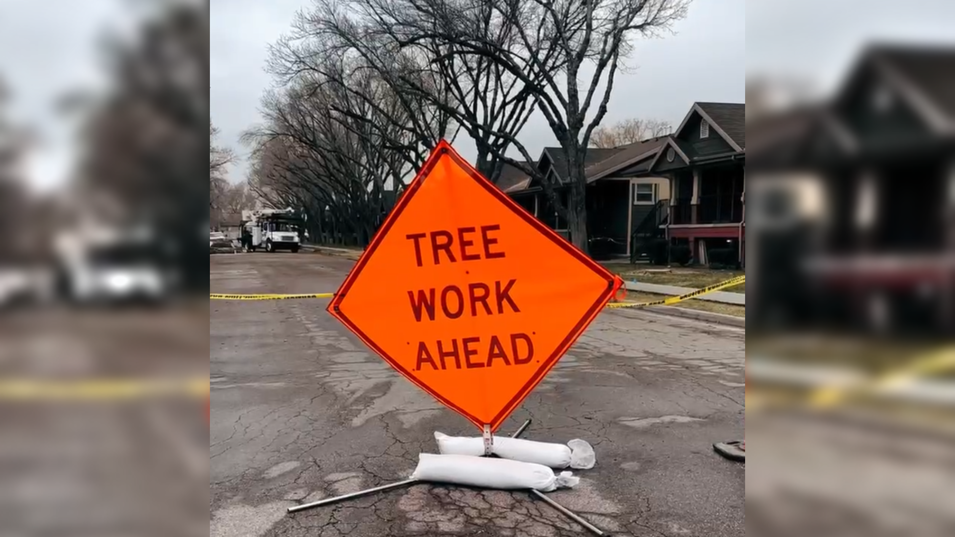 "tree work here" sign pictured on a rose park streed...