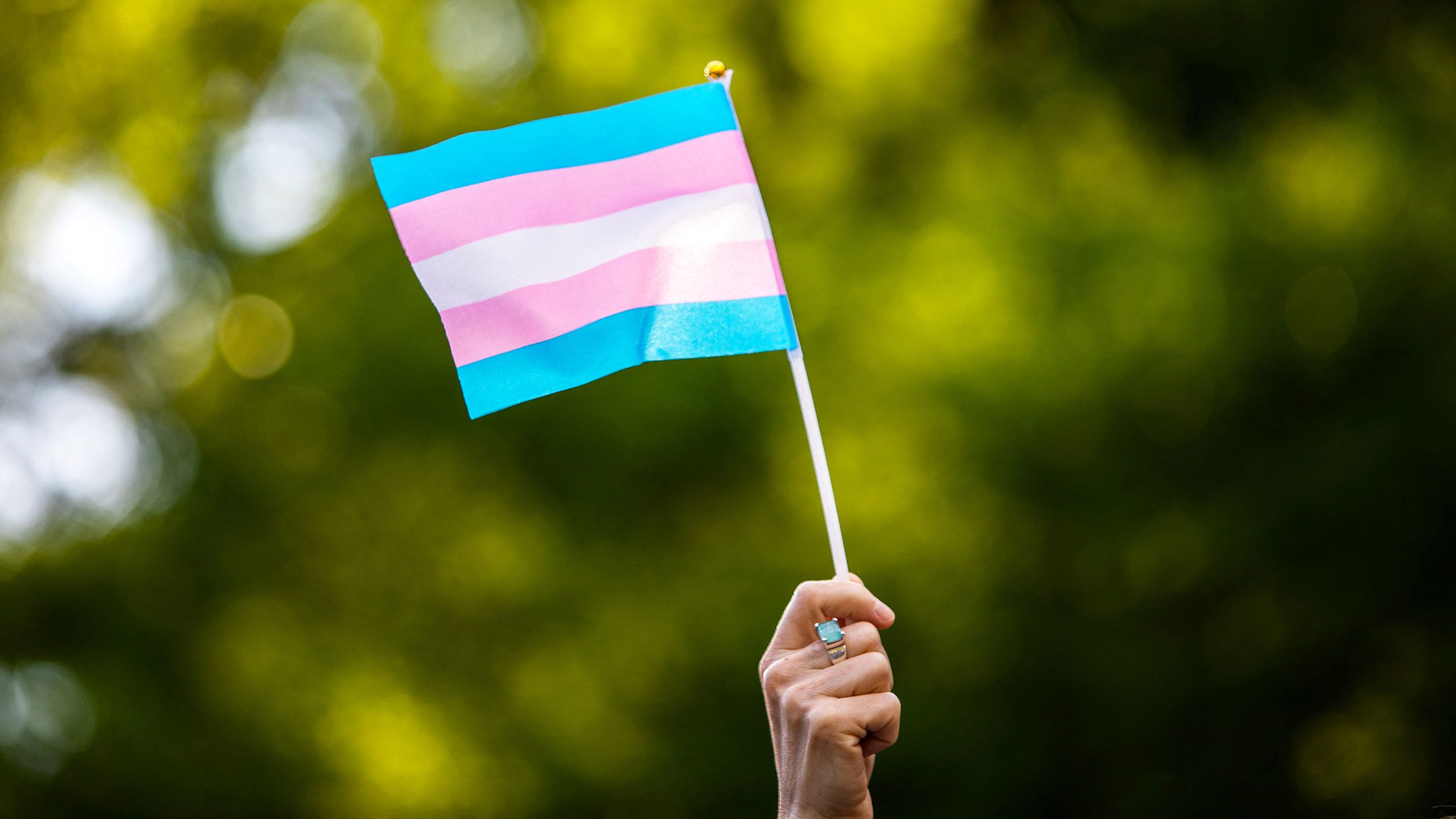 The 2022 US Transgender Survey offers insights into the lives and experiences of transgender Americ...