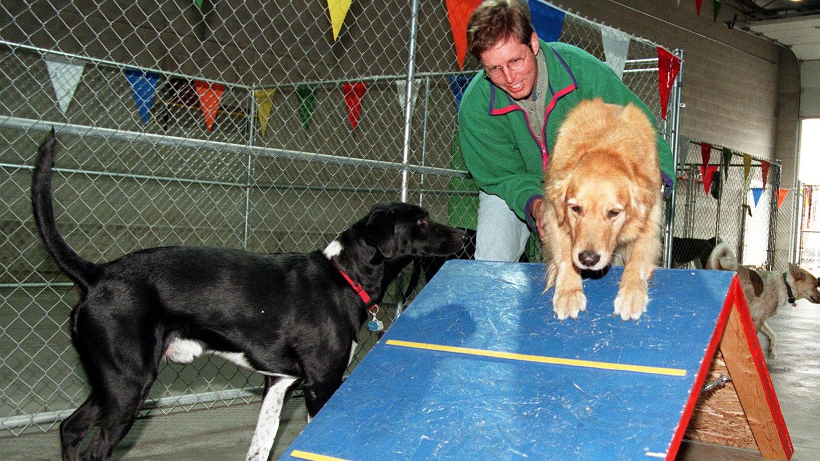 Brent Warner works on training and obedience as he helps Rudy over the ramp. Smokey waits his turn....