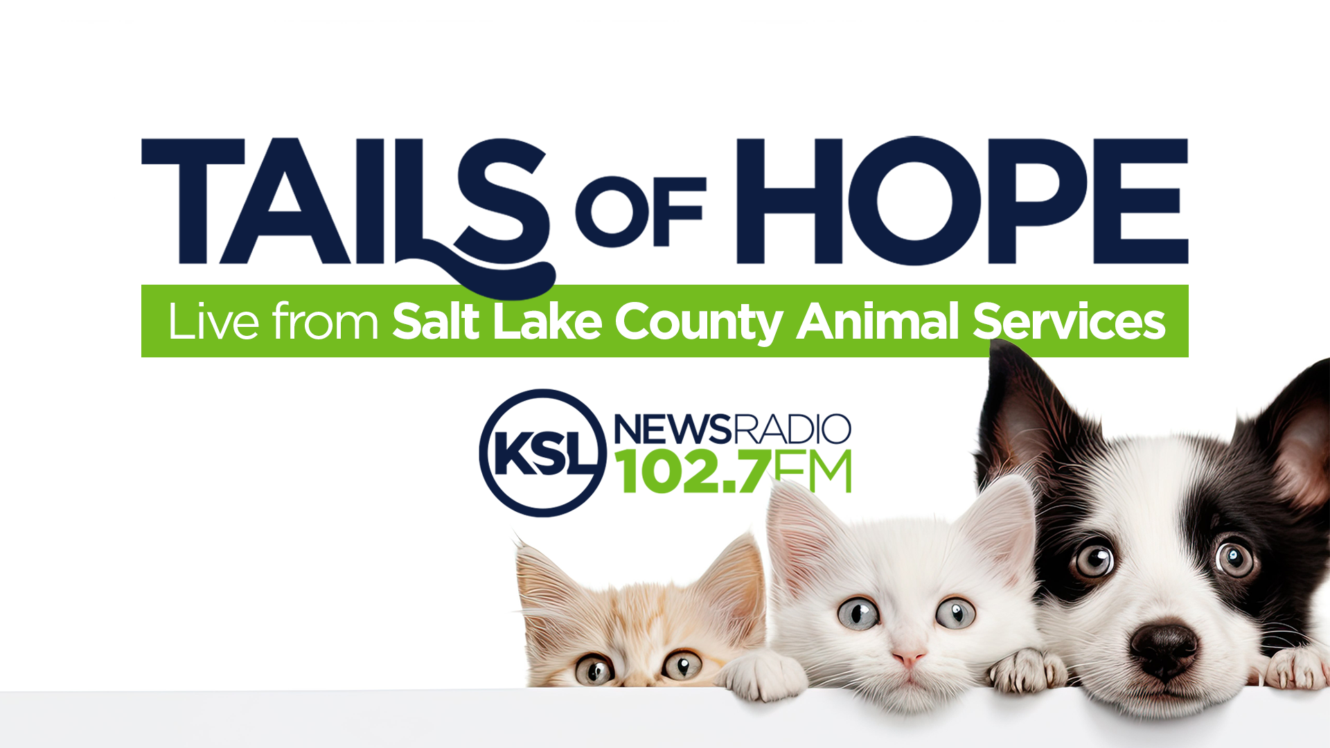 Join KSL NewsRadio live from Salt Lake County Animal Services on March 28, 2024, from 9 a.m. to 12 ...