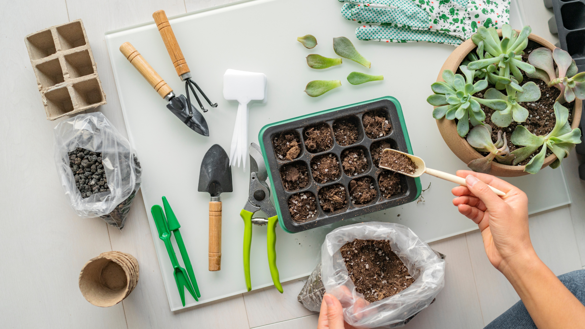 Seed-starting kits are available. These can be convenient because they include the soil, the trays,...