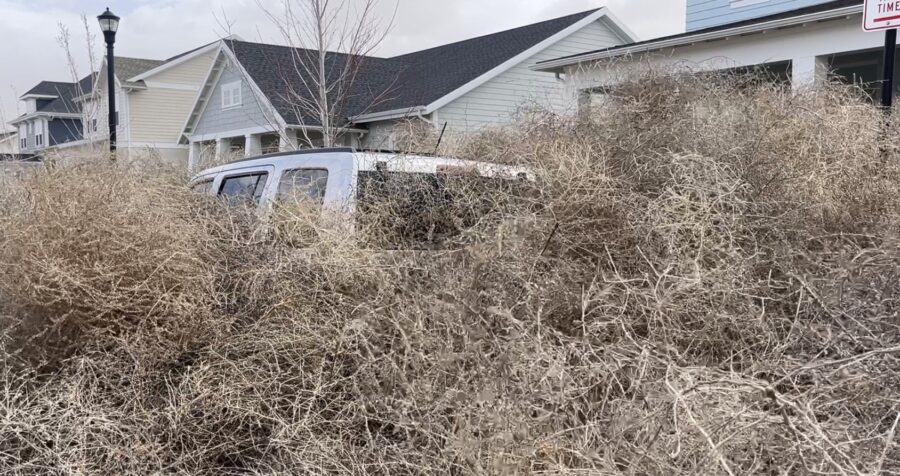 Some homeowners in South Jordan, Utah, woke up to a wall of tumbleweeds around their homes this wee...