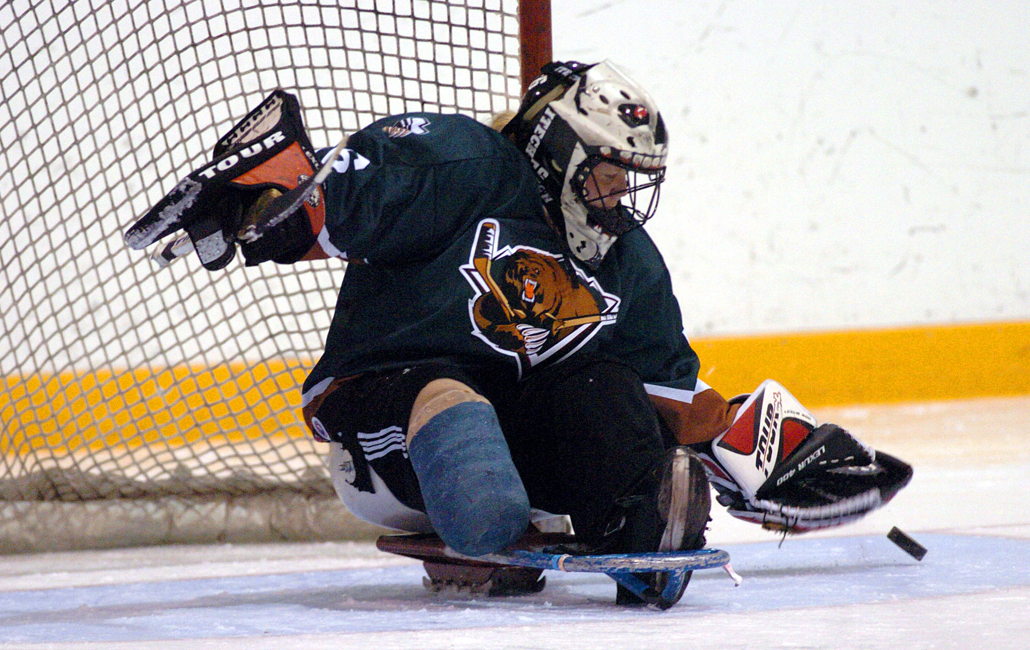 A sled hockey team in Utah could become a more realistic reality thanks to the new NHL team....