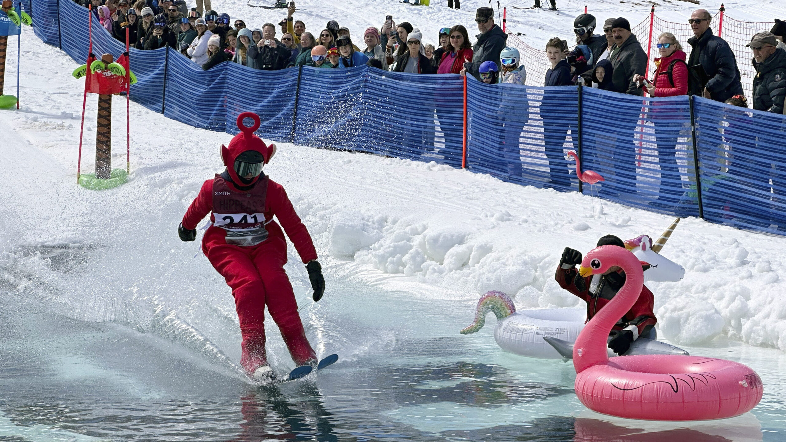 A skier dressed as a Teletubbie participates in a pond skimming event at Gunstock Mountain Resort....