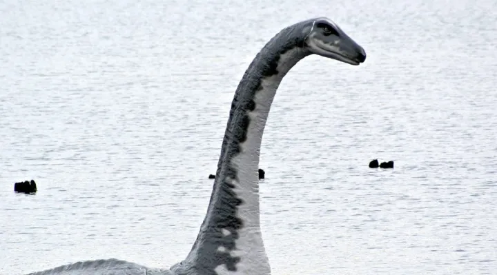 image of dinosaur-like creature swimming around the lake