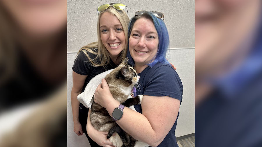 Utahns were reunited with their cat after they accidentally shipped it to California with an Amazon...