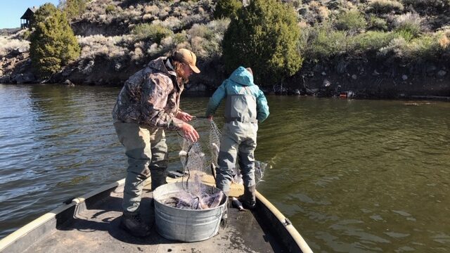 Emergency fishing closure issued for Panguitch Lake