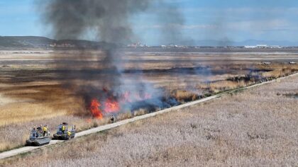 Crews started to burn approximately 2,000 acres of invasive phragmites in the Ogden Bay Wildlife M...
