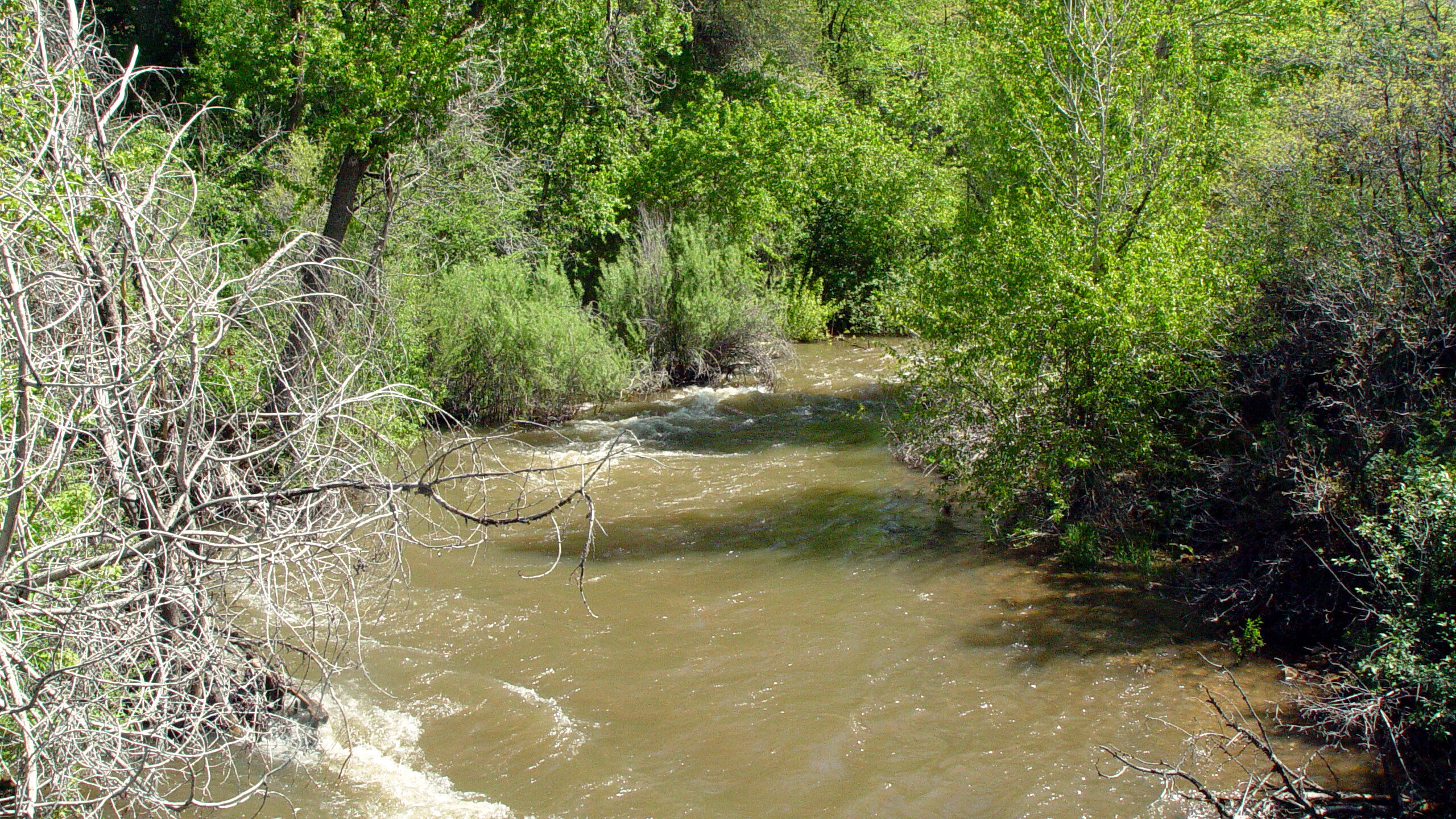 High amounts of spring runoff cause swelling of rivers across the state....