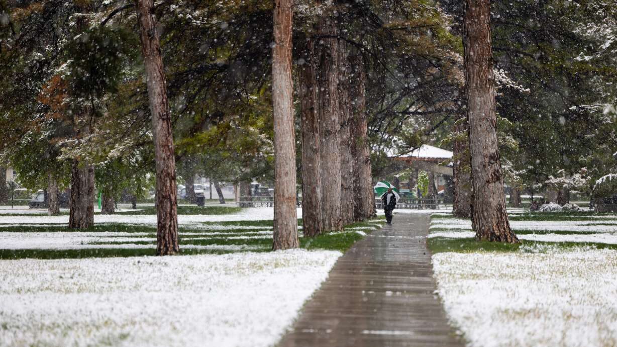 A man walks with his umbrella under snow-covered trees at Liberty Park in Salt Lake City on Sunday....