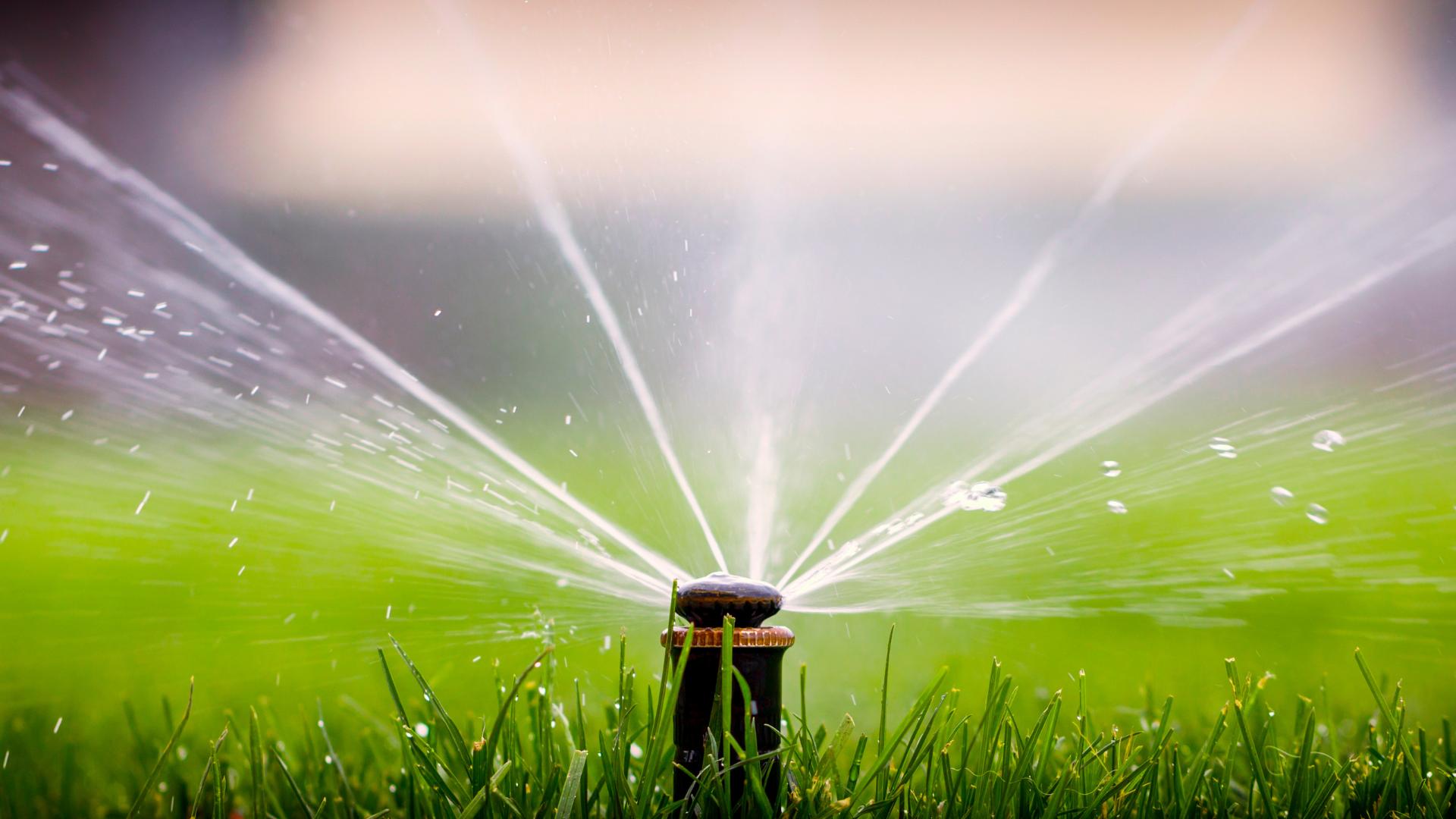 The first thing you should do before you start regularly watering your lawn around mid-May is test ...