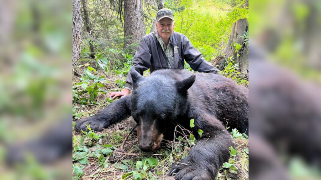 Are there big bears in Utah?