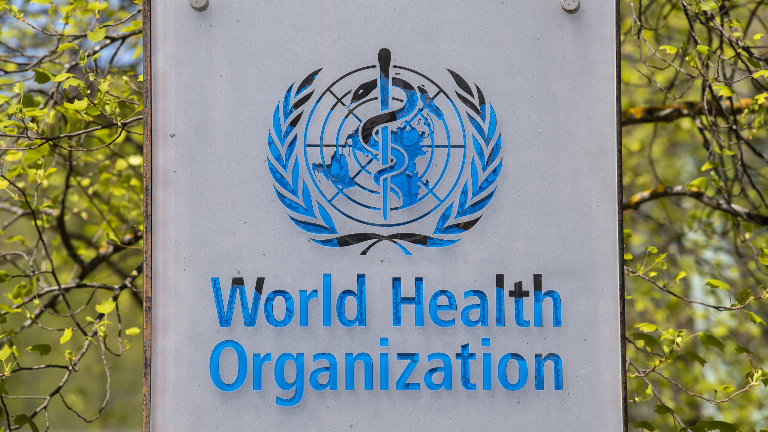 WHO logo, who declared mpox outbreaks as global emergency...