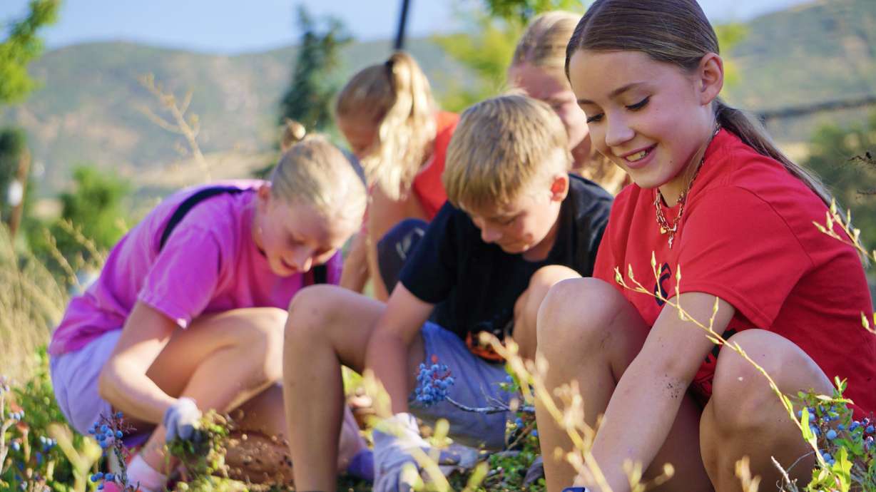 Youth in the Centerville community pick weeds as an act of service in memory of those lost in the 9...