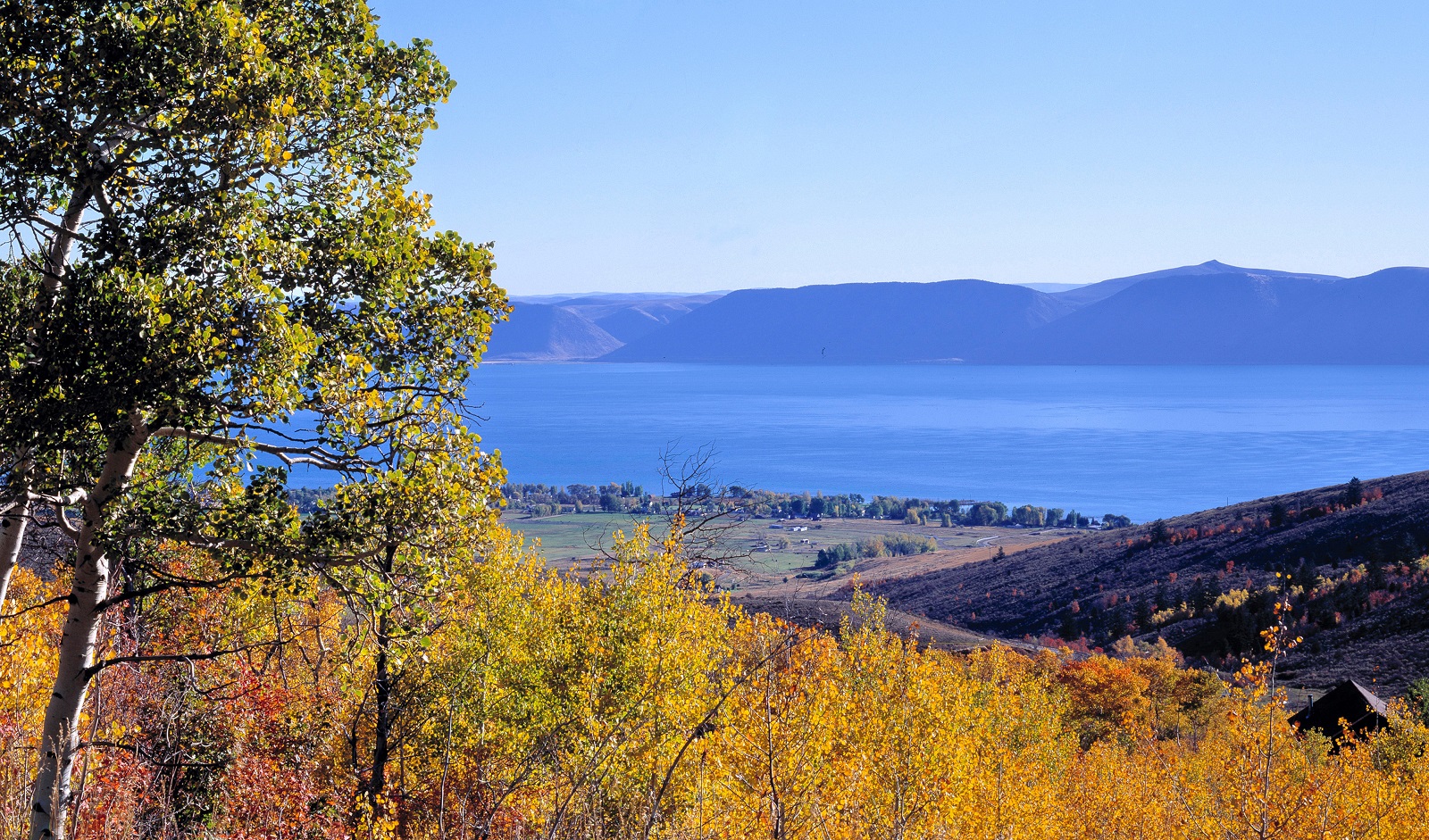 USA, Utah, Bear Lake. The deep blue of Utah's Bear Lake contrasts with autumn foliage....