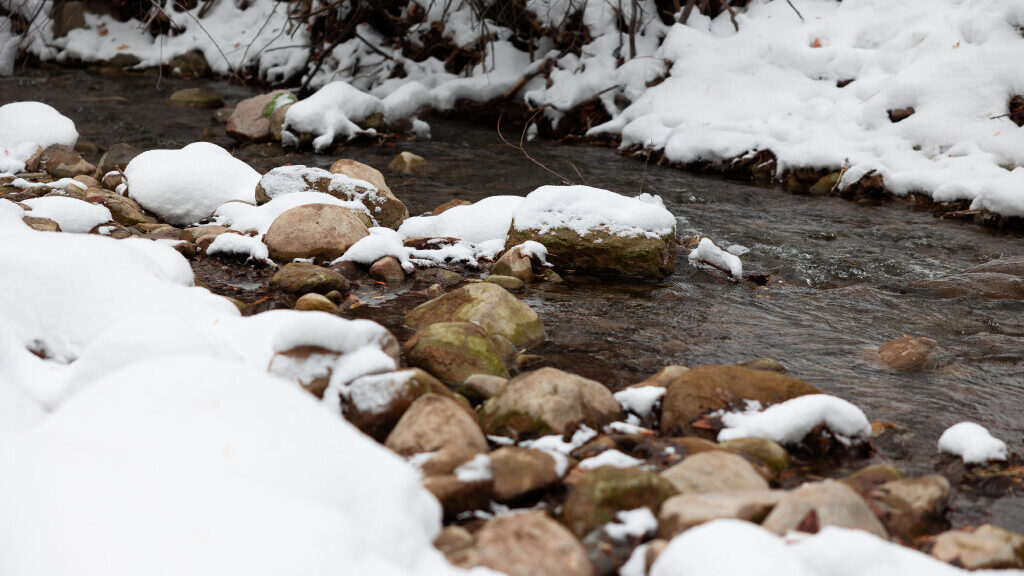 The Bureau of Land Management gave the Utah Department of Natural Resources a grant to help preserv...