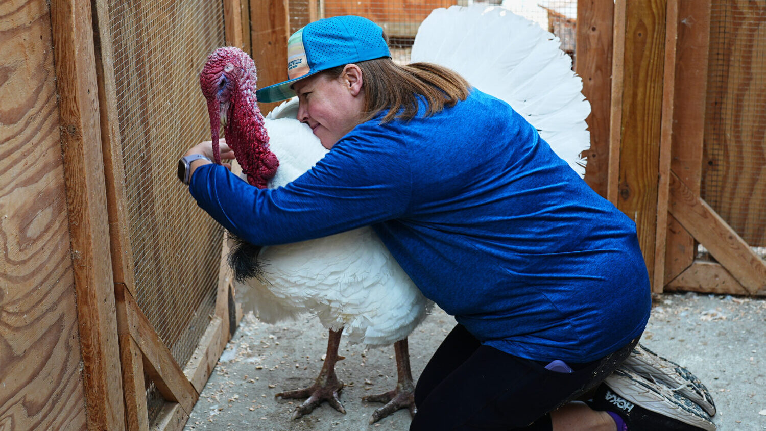 Lanette Cook, education and engagement manager at Luvin Arms Animal Sanctuary, hugs a pardoned turk...