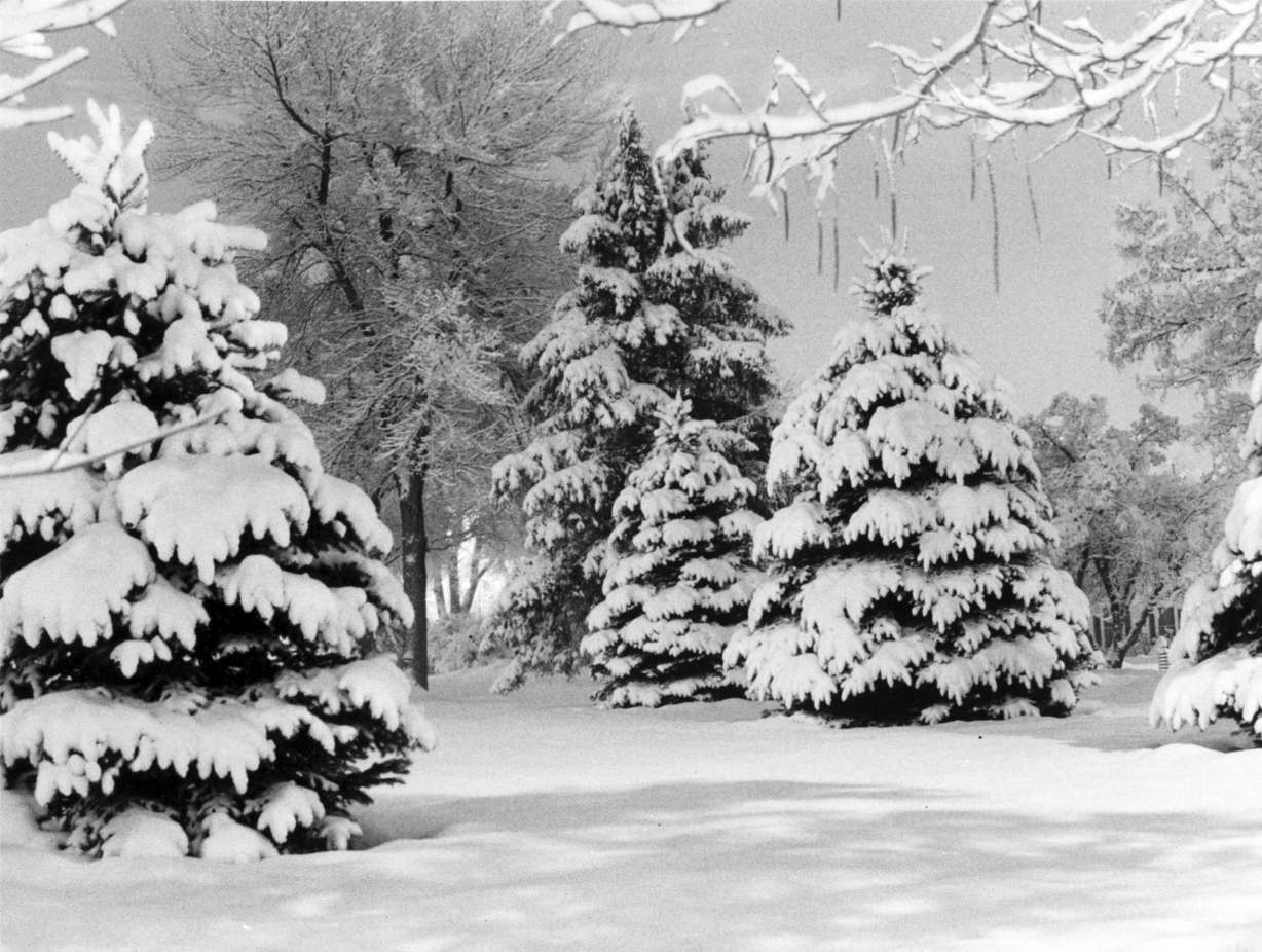 A snowstorm hit Salt Lake City on Feb. 17, 1984, leaving thick snow. (Photo: Deseret News Archives)