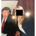 Trump Epstein Congress