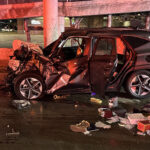 bangerter.cax.1229251