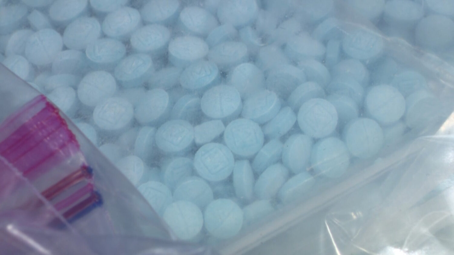 Fentanyl pills seized in Utah as part of a nationwide operation are pictured. (Derek Petersen, KSL TV)