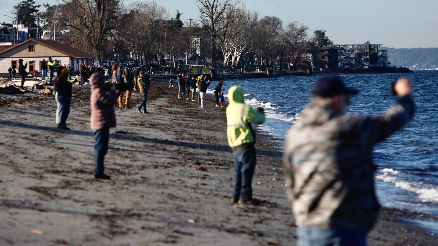 People watch a pod of orca whales swimming off Seattle on Friday, Jan. 16, 2026....