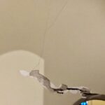 Greek Orthodox Cathedral - earthquake damage 2