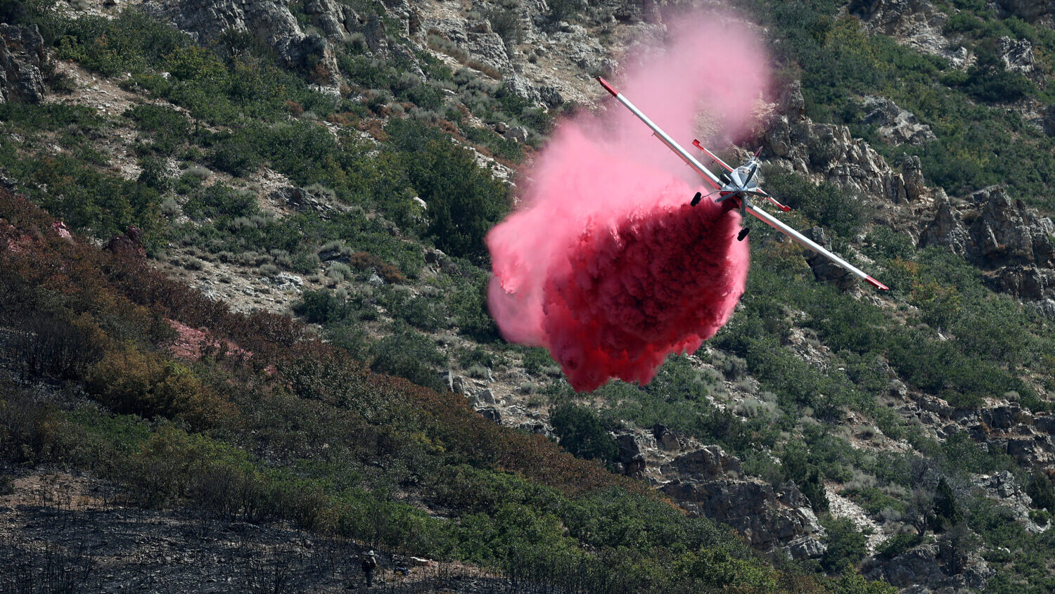 A plane drops fire retardant on the Willard Peak wildfire in the mountains above North Ogden on Thursday, Aug. 14, 2025. (Kristin Murphy, Deseret News)