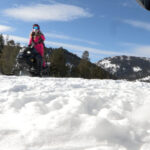snowm-1024x576