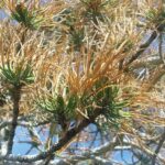 20160513_110426 (1)