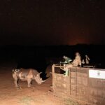 Uganda Rhino Translocation